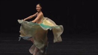 【韩国创作舞】2024东亚舞蹈大赛金奖 梨花女子大学大四 金京彬 《择高处立 向低处行》