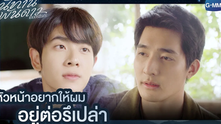 หัวหน้าอยากให้ผมอยู่ต่อรึเปล่า นิทานพันดาว 1000stars