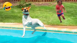 Best Funny Animal Videos 2022 😁 - Funniest And Cute Dogs And Cats Videos 🥰😇