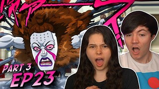 Jojo's Bizarre Adventure Part 3 Ep 23 REACTION & REVIEW!!