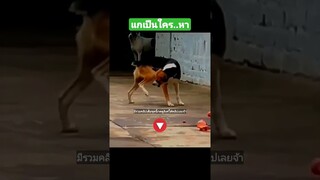 แกเป็นใคร..หา