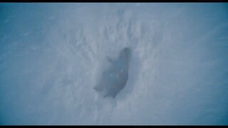 Superman -Full Movie (2025)