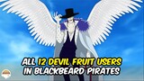12 Devil Fruit Users in Blackbeard Pirates