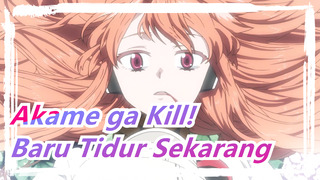 [Akame ga Kill!] Dia Baru Saja Tidur Sekarang