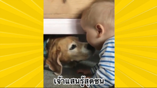 สัตว์เลี้ยงเพื่อนขนปุย : เจ้าแสนรู้สุกซน