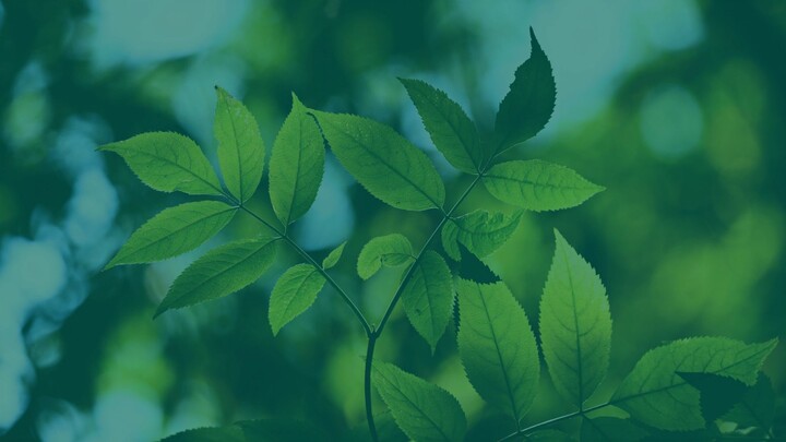 Gemini Customer Support Number 💎 +1866-245-4408 Help Desk Phone Number