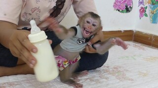 Adorable Little Maki After Cleaning Diaper Crying Not Waiting Prepare Milk To Him