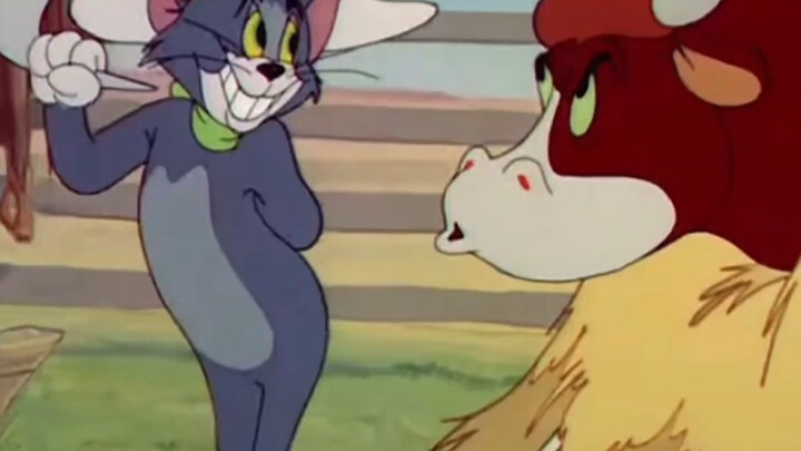 Animals Repaired by Tom