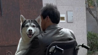 หลังจากที่กูจื่อกลับมาที่หมู่บ้าน ดวงตาของเขาก็พลันเปล่งประกายขึ้นมา