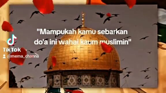 free Palestin🇵🇸