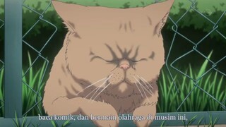 Kimi To Boku S1 EP8 Sub Indo