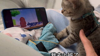 He doesn't do his homework and throws things around. He just watches Tom and Jerry all day long. He'