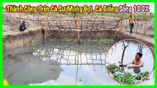 Linh Philip || Thành Công Trên Cả Sự Mong Đợi, Đàn Cá Giống Tỷ Lệ Sống Đạt 100%