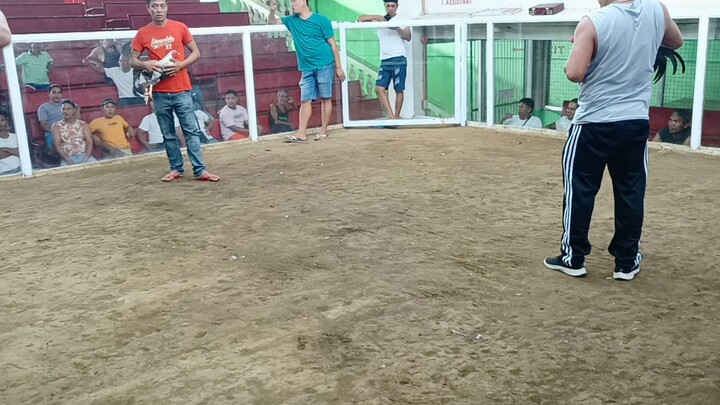 8months  vs lolo (win)