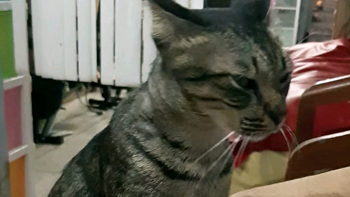 โอเลี้ยง ep.1