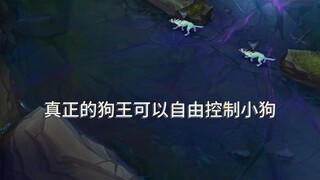 เทคนิคจัดการหมา 1.0!