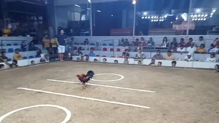 drt two hits July 29 2025 first figth win tayo mga boss