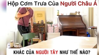 Hộp cơm trưa của người Châu Á vơi người Tây