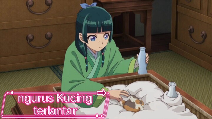 #KompetisiKreasiUnggahan2 , Apoteker ngurus kucing terlantar