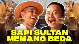 Sapi Tinggal Di Dalam Rumah Mewah⁉️ - Ensiklopedia Madura