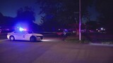 Woman killed in dog attack, young son hurt in Indianapolis