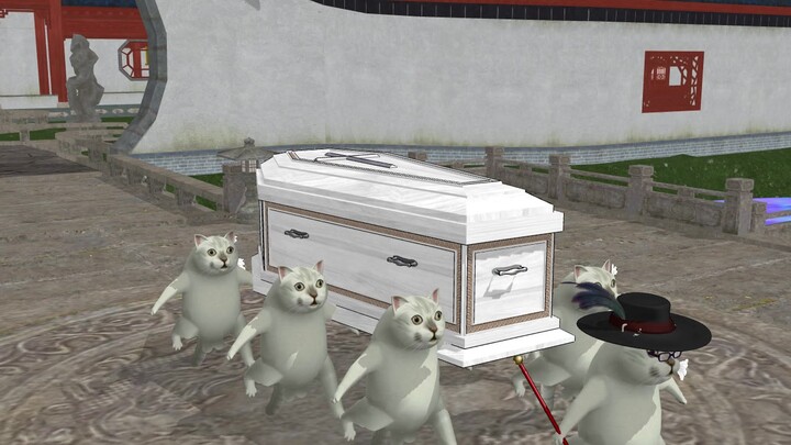 Mur cat coffin carrying (unprofessional) team