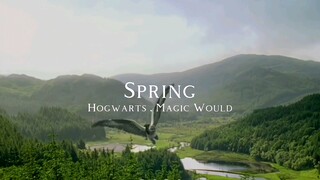 HP｜“霍格沃茨的四季”