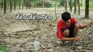 Đào Dế Mèn Về Nướng Xiên Que, Lăn Bột Chiên