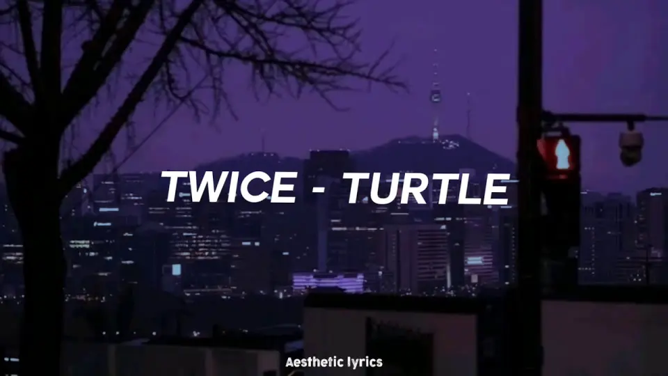 Twice Turtle Lirik Terjemahan Ind Bilibili