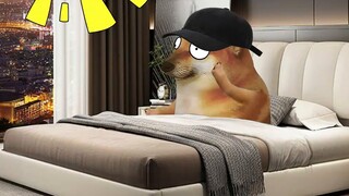 ماذا يحدث في النهاية عندما يقلد الجميع اختياري؟