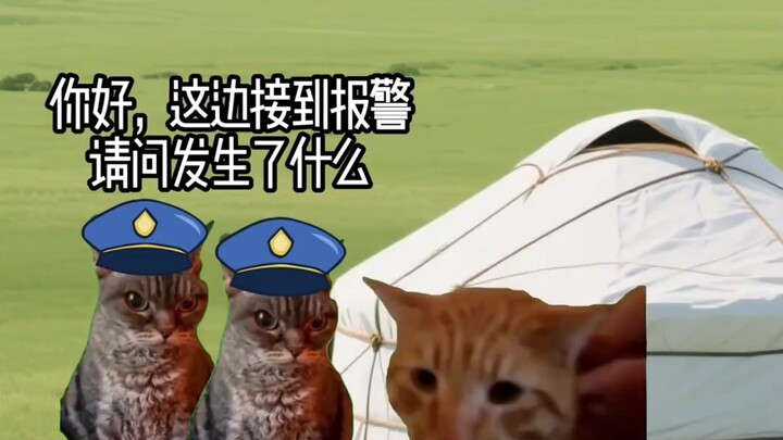 Cảnh sát: Đôi khi thật sự muốn gọi cảnh sát # meme mèo #