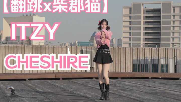 【回归翻跳x柴郡猫】ITZY-CHESHIRE 摸一嗷喵！