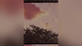 “Cầm tấm vé trên tay, em bay đến nơi xa...” 😞 sau5894 lyric chillmusic foryou xuhuong2021 BatNhipCamXuc