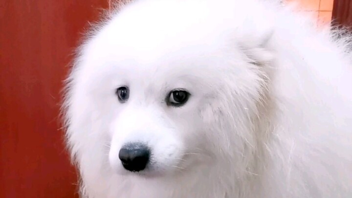 في كل مرة تظهر بخطوات لا تعرف أحدًا من العائلة، وبنظرة تعبّر عن اليأس من الحياة.