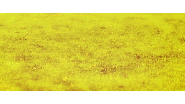 ‣ Spy x Family • ├ Episode : 05├ Season : 03├ Audio : HINDI ||