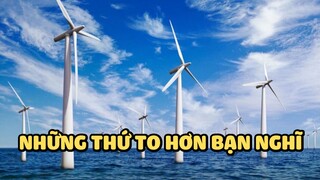 Những thứ to hơn bạn nghĩ | Bạn có biết?