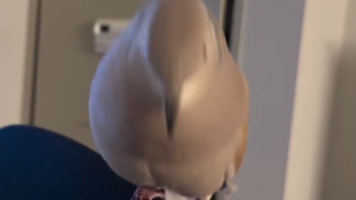 "Kumohon, menikahlah denganku"