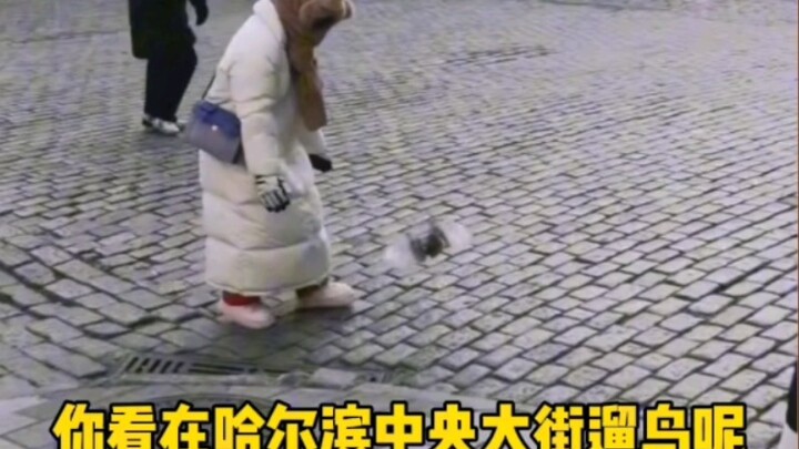 Củ khoai nhỏ thật đáng yêu