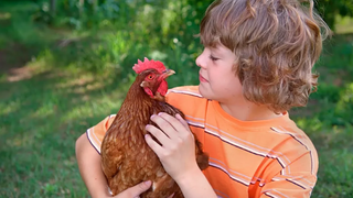 Funny Babies and Chicken Moments - การรวบรวมทารกและสัตว์เลี้ยงน่ารัก