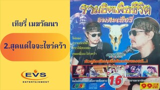2.สุดแต่ใจจะไขว่คว้า เทียรี่ เมฆวัฒนา MV Karaoke