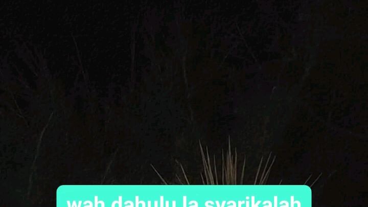 amalan bangun tengah malam#nasehat