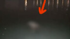 On November 21st, in Guangzhou, Guangdong, a man livestreamed a night fishing trip and caught a floa