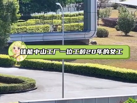 الشركات الأجنبية حقًا لئيمة جدًا؛ تعمد إلى تقديم تعويضات خبيثة في محاولة للقضاء على خُلُق الشعب الصي