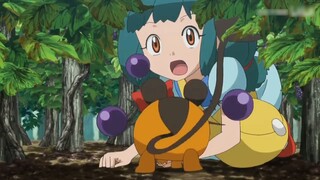 [Pokémon] Dongdong Mouse should be the social cow