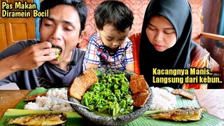 Ludess‼️ Bikin Ketagihan, SAMBEL KACANG PEDAS, BANDENG ISI DAUN SINGKONG, Masakan Kampung