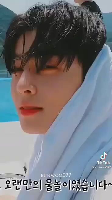cha eun woo