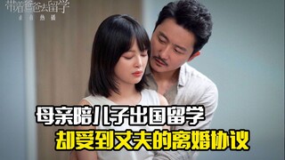 母亲陪儿子出国留学，不料却受到丈夫的离婚协议，剧情片