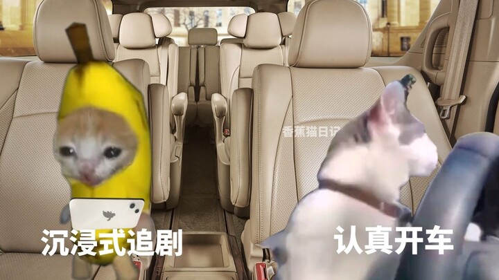 When I sit in the exclusive passenger seat