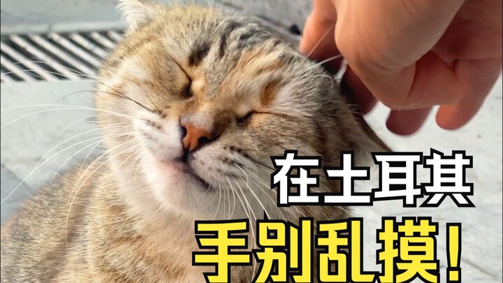 Please protect your ears when watching