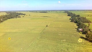 Cô Thắm Về Làng - Phần 2 - Tập 12